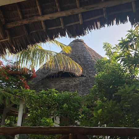 Pasa Lodge Zanzibar นูงวี ภายนอก รูปภาพ