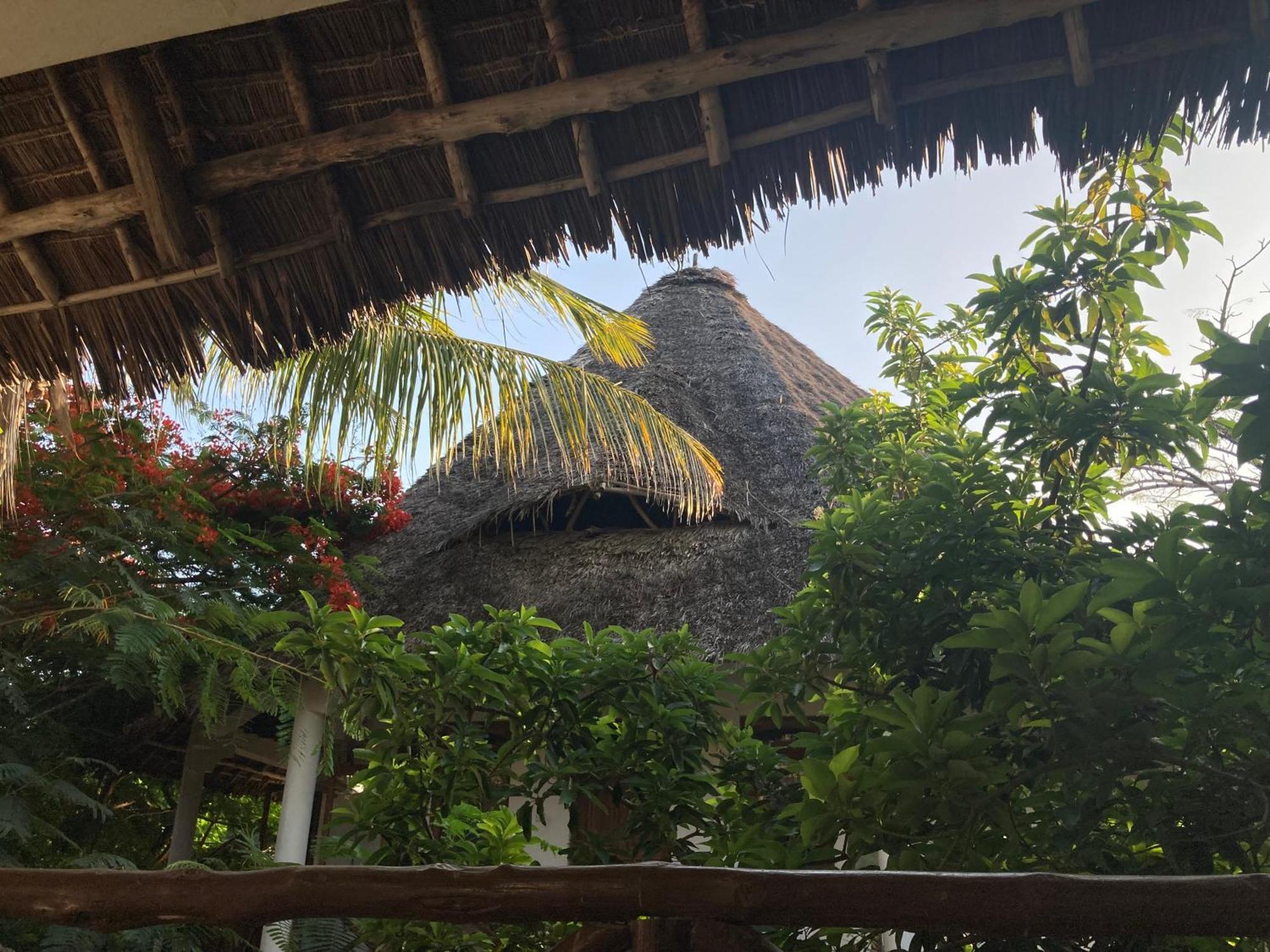 Pasa Lodge Zanzibar นูงวี ภายนอก รูปภาพ