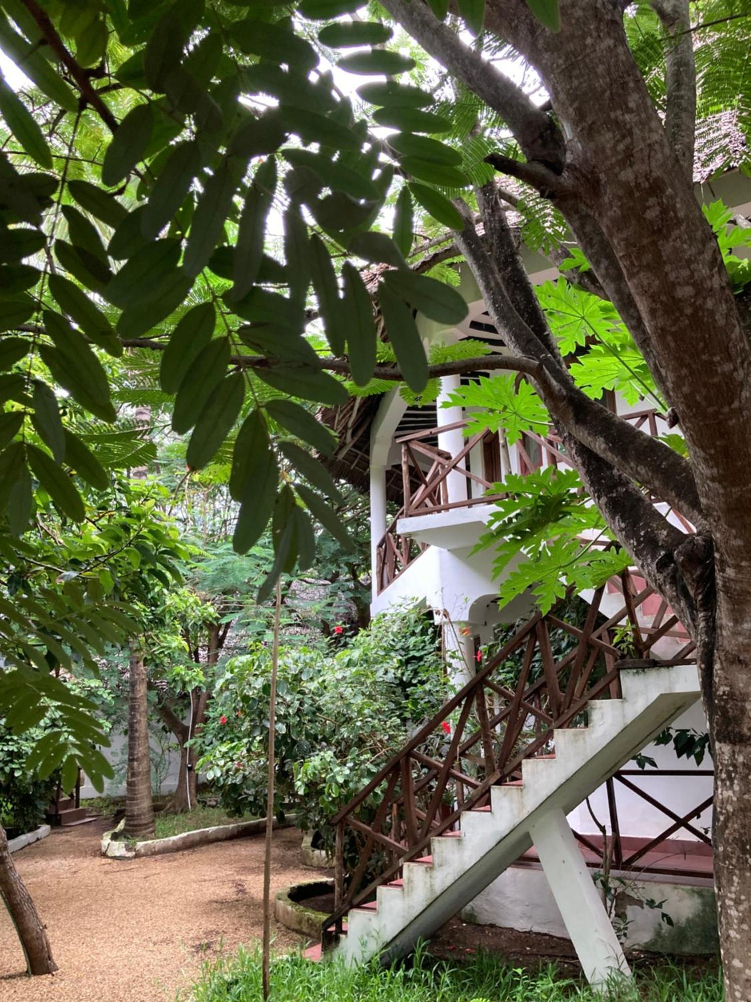 Pasa Lodge Zanzibar นูงวี ภายนอก รูปภาพ